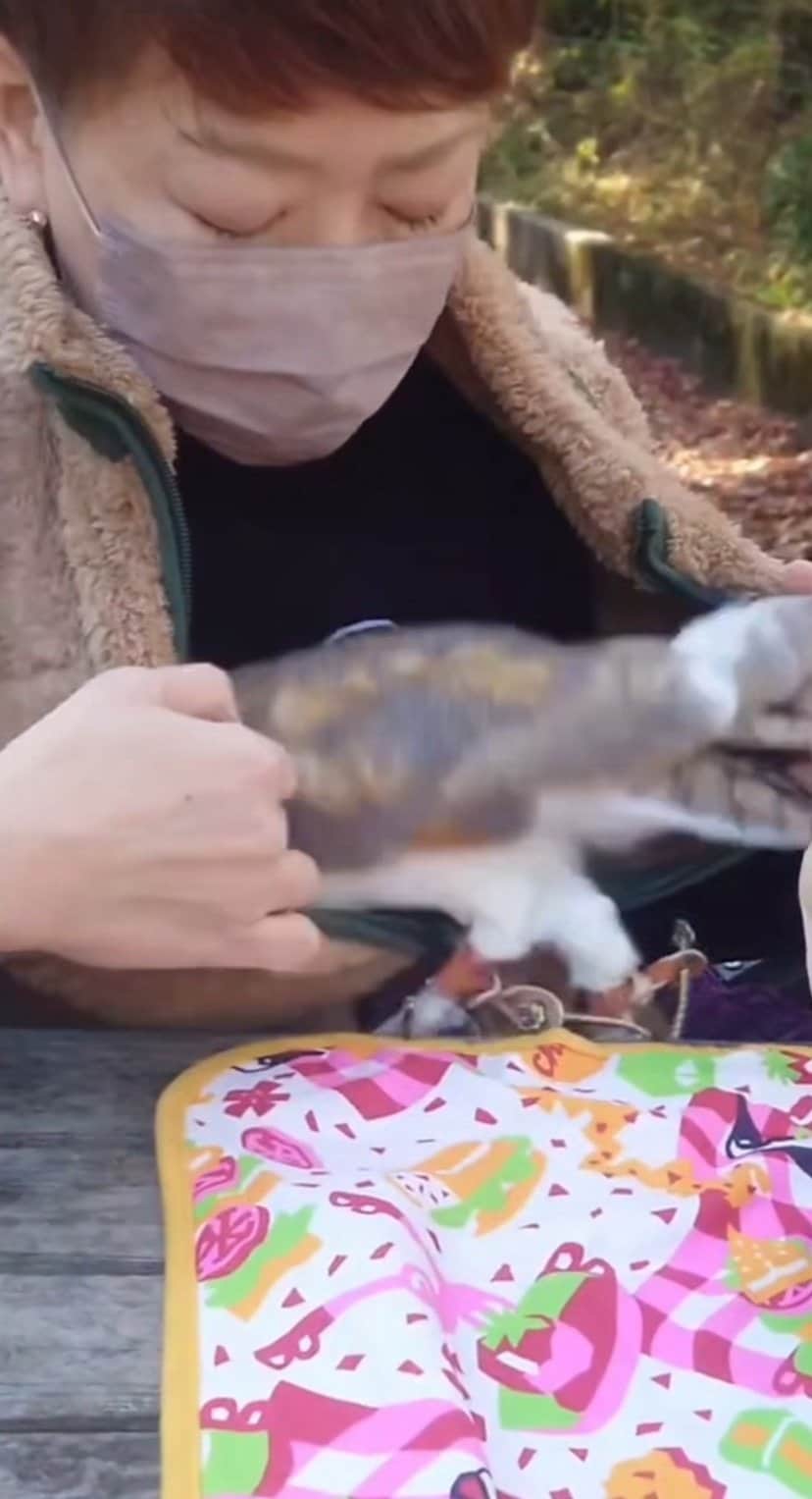 出所：@miki4wan108