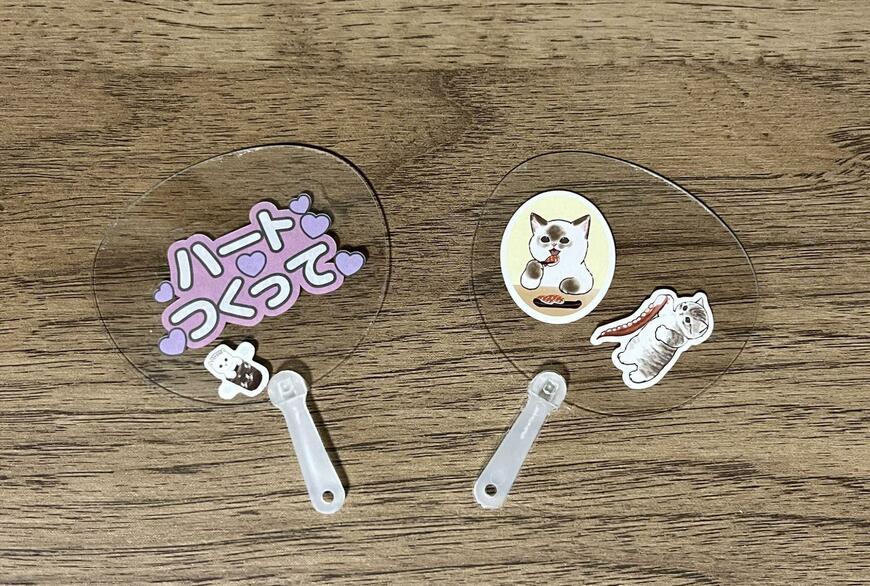 筆者撮影（セリア、透明miniうちわ だ円型）