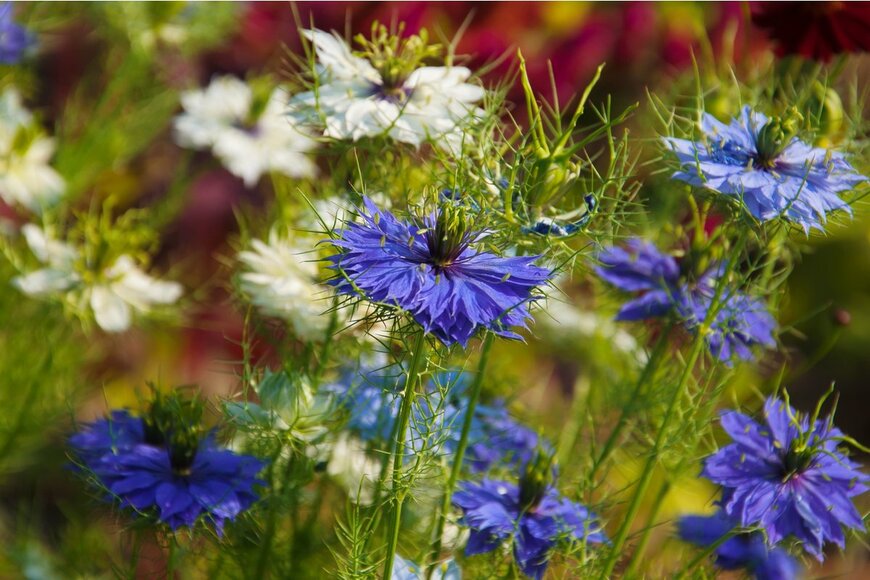 All for you friend/Shutterstock.com