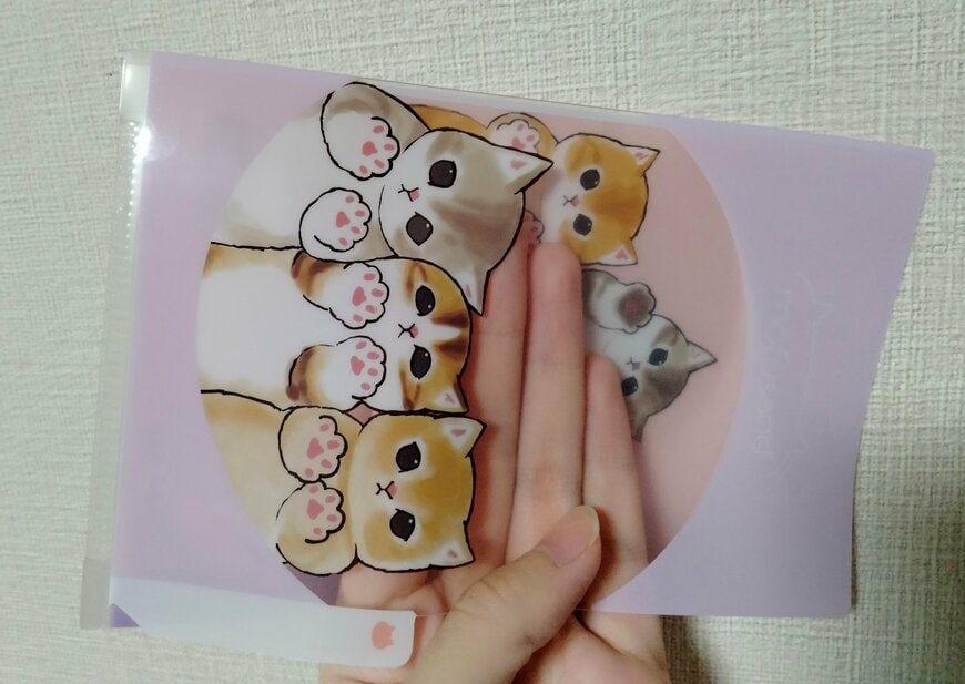 筆者撮影（セリア、mofusand A6クリアファイル3ポケット）