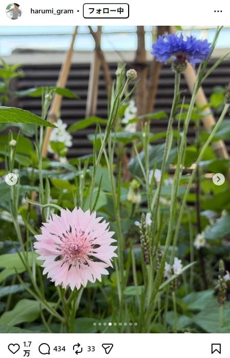 出所：栗原はるみのInstagram（＠harumi_gram） 参照日：2026年4月24日