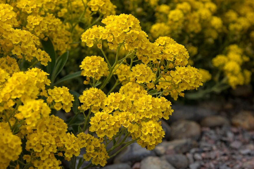 Chris Lawrence Travel/shutterstock.com