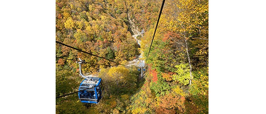 出所：じゃらん「圧巻の絶景紅葉ランキング」