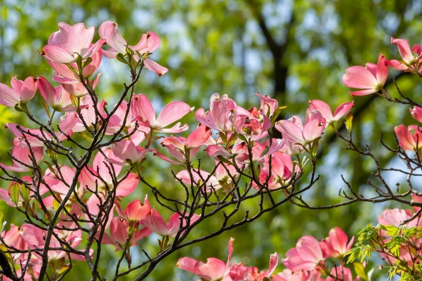 c11yg/istockphoto.com