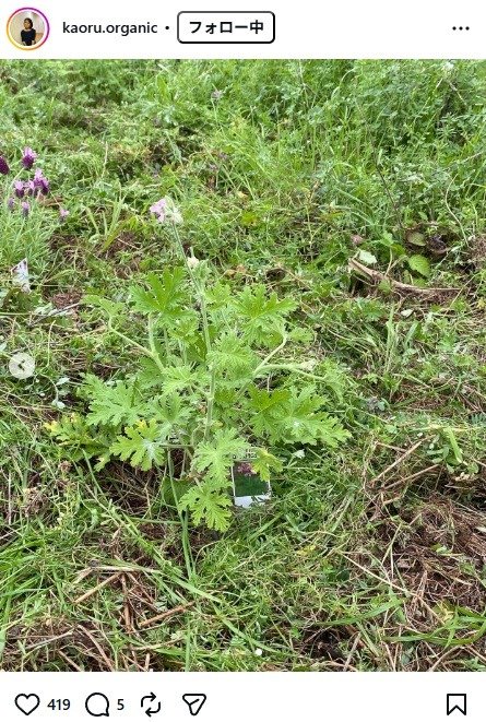 出所：杉田かおるのInstagram（＠kaoru.organic）　参照日：2026年4月10日