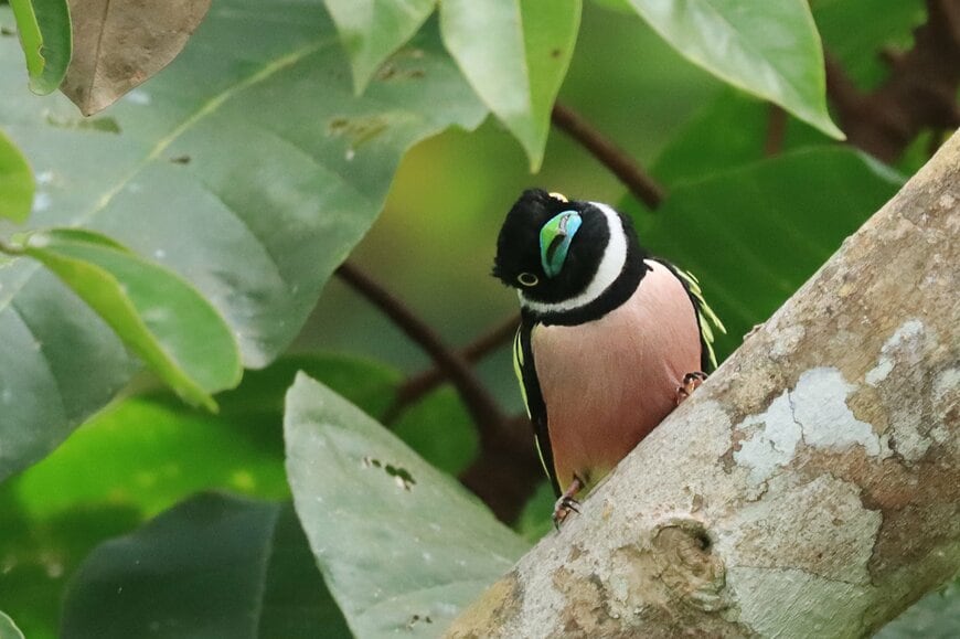 出所：@h2c2o4_2h2o