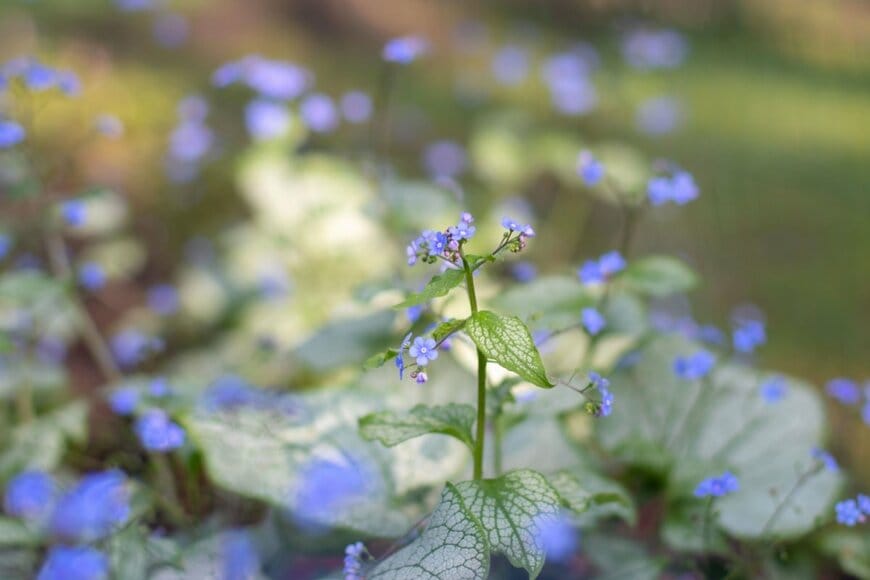 Svetlana Zhukova/shutterstock.com