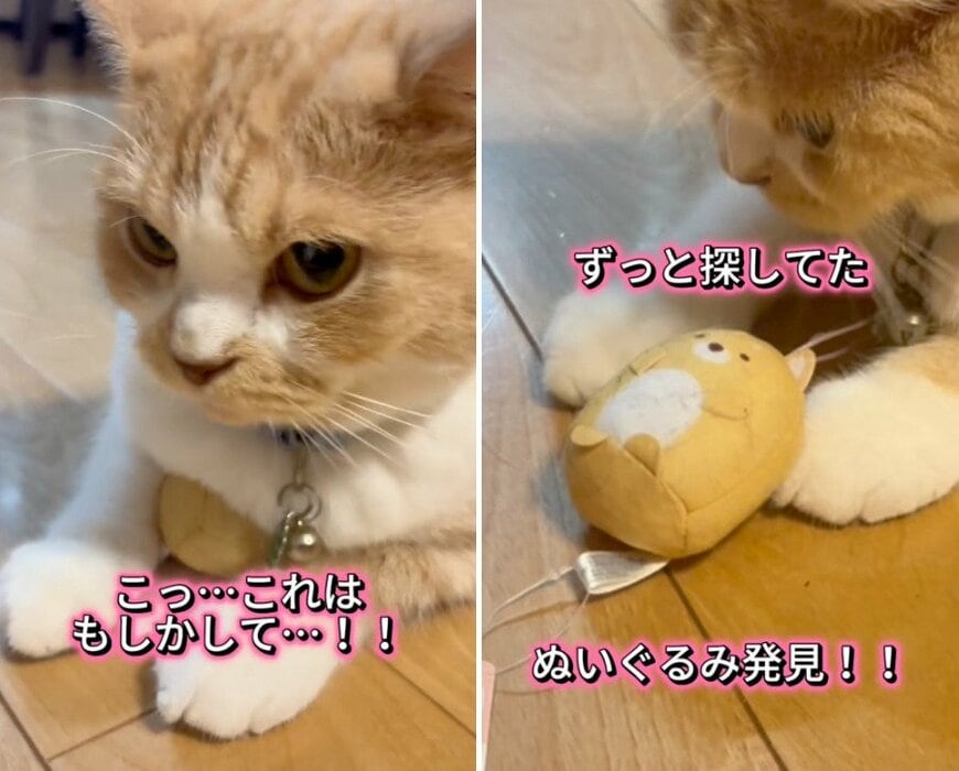 出所：@sorakai0905