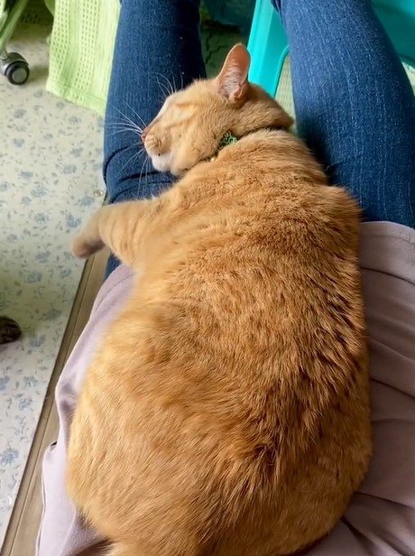 出所：@luna7taka9 