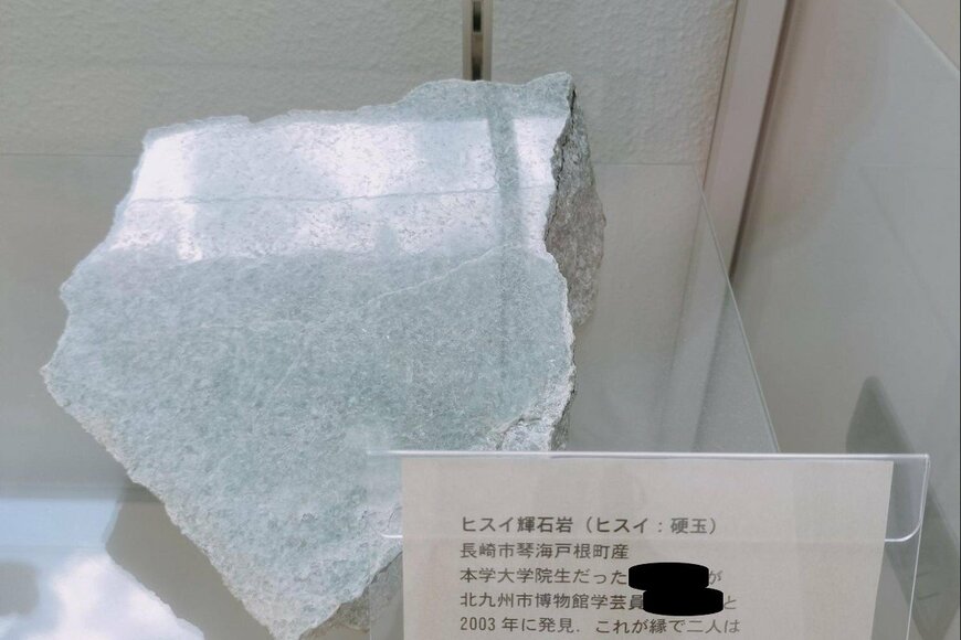 熊本大学に展示された「天然記念物の説明」に目を疑う　「いいのかな、そんなことがあって」