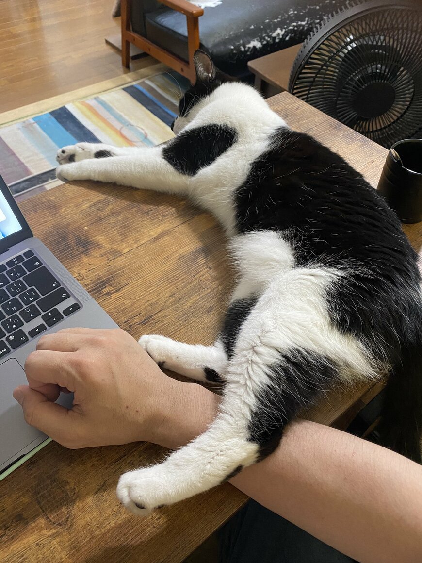 出所：@00shitemita