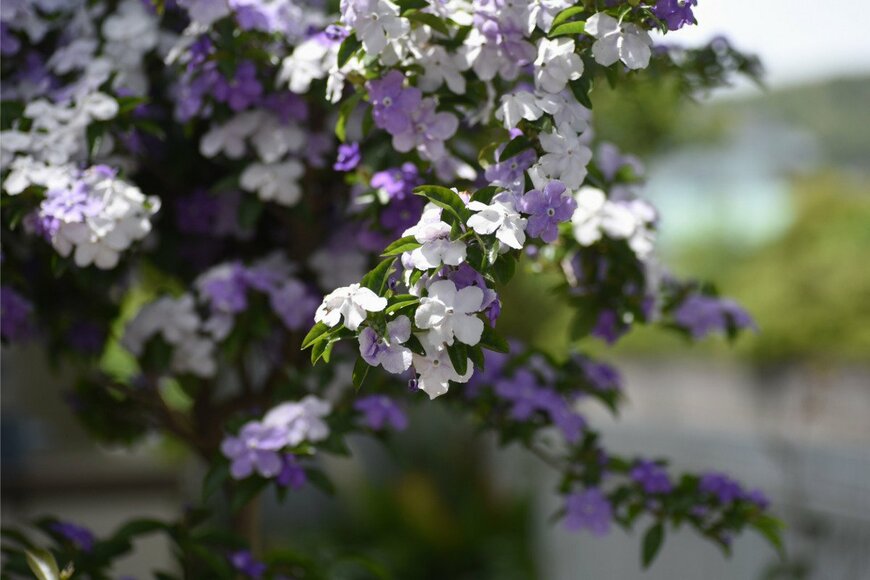 undefined undefined/istockphoto.com