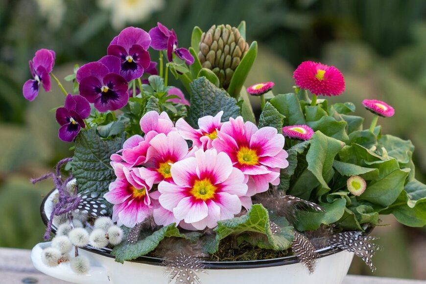 Natalia Greeske/shutterstock.com