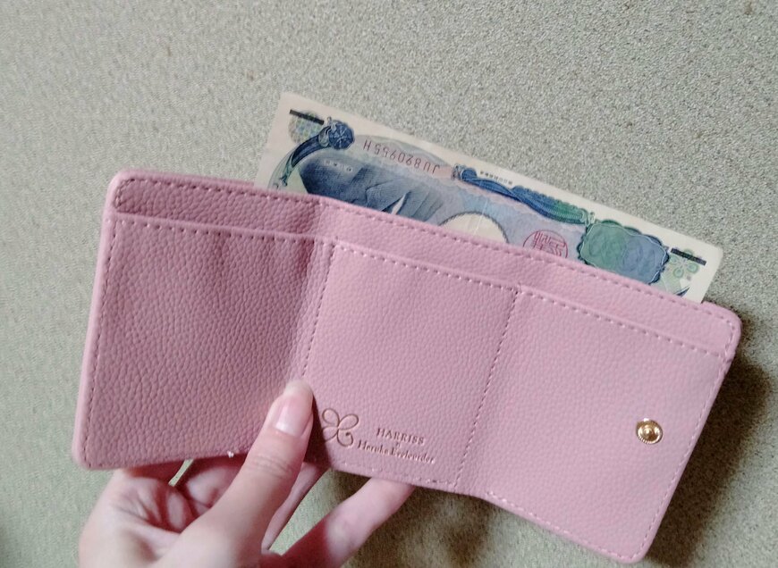 【付録開封】紙幣を折らずに収納できるミニ財布！ピンクが素敵