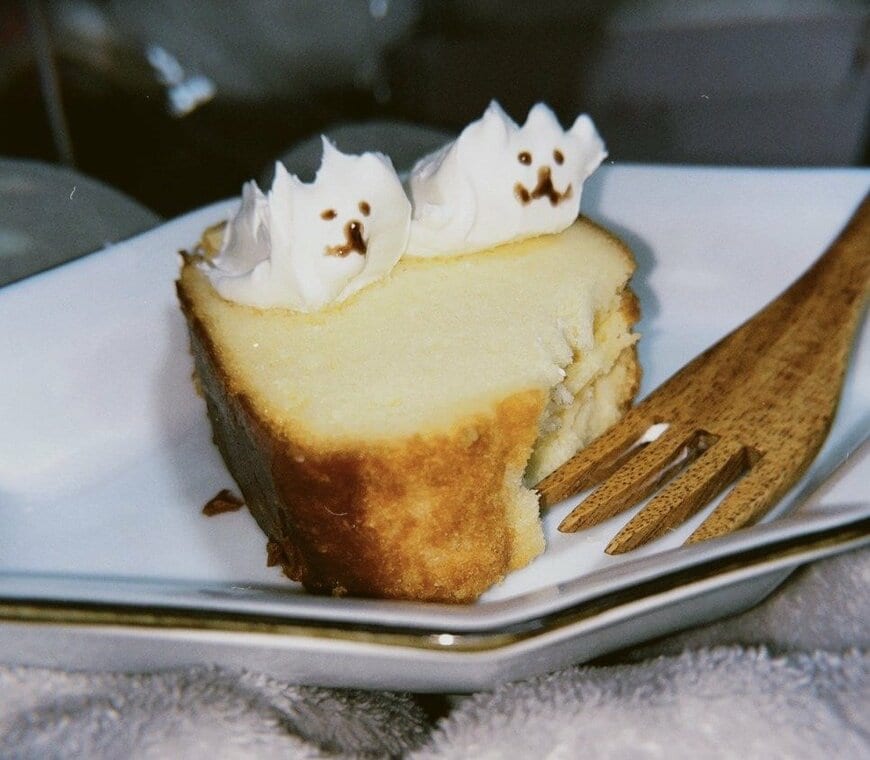 クリームチーズの犬をのせたケーキ