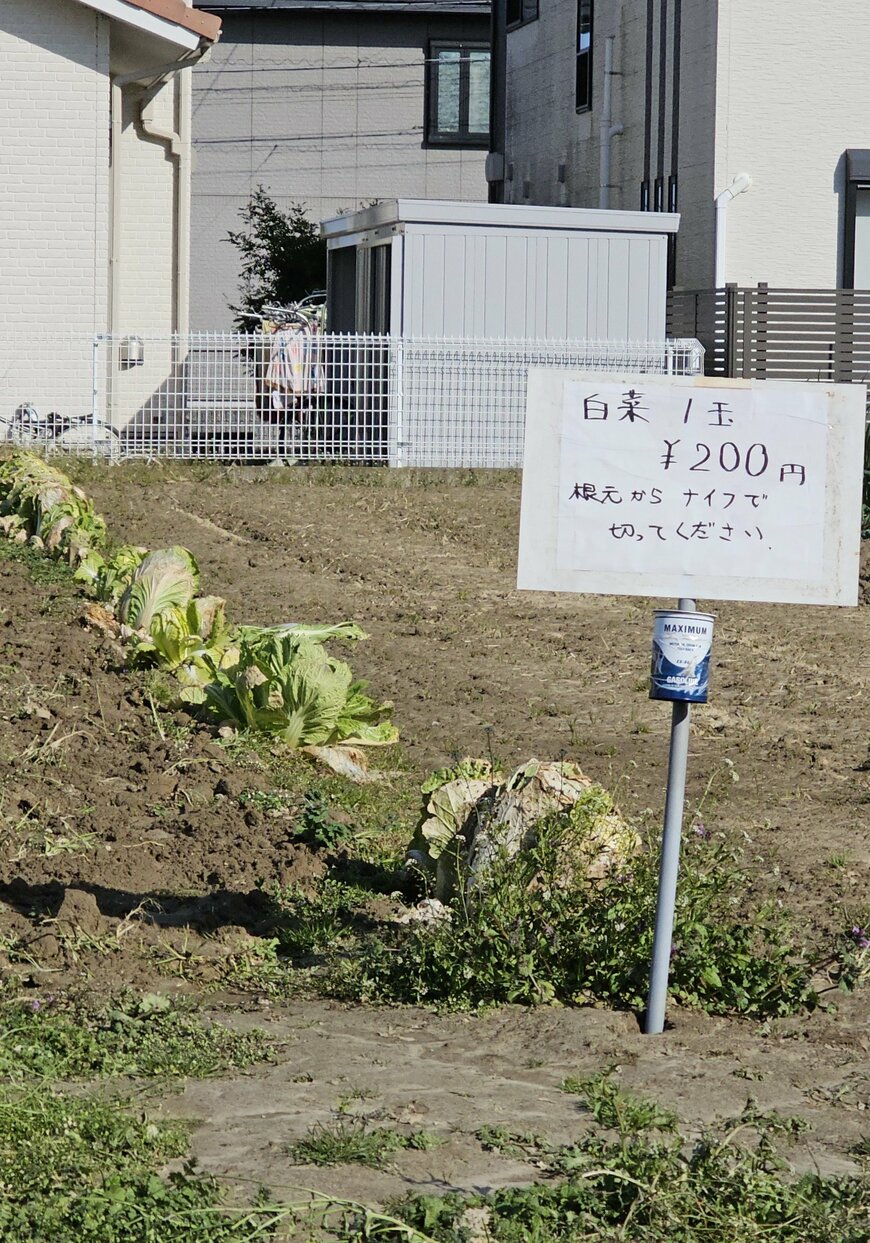 ただの畑に見える無人販売所