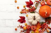 「働き方が変える」老後の年金受給額【国民年金・厚生年金】