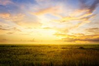 【年金】みんなの「厚生年金と国民年金」ひと月の受給額いくらか。令和4年度の平均額も見る