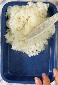 “食べるの大好き”な彼女が同棲中の彼に作る〈彩り春巻き弁当〉短時間で華やかに仕上がる愛情弁当