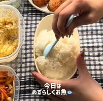 23歳彼氏に作る「鮭のムニエル弁当」豪快な出来栄えが話題に