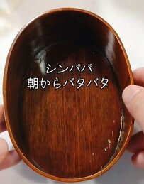 シングル父が「朝から忙しい日」に作る弁当が話題　豪快に使った「鮭」に思わず見入ってしまう