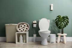 【ガーデニング】トイレや玄関はNG？植物を育てるのに適していない場所にも置ける観葉植物7選
