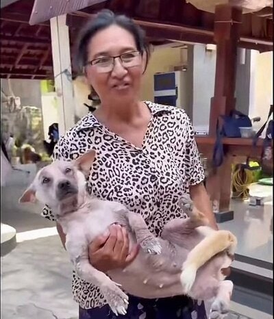 治療を受ける前の様子