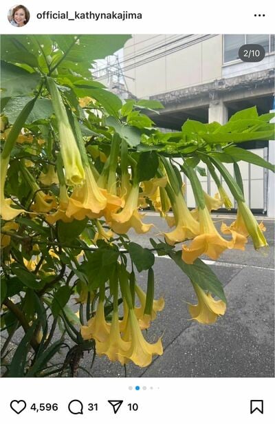 キャシー中島のInstagram投稿