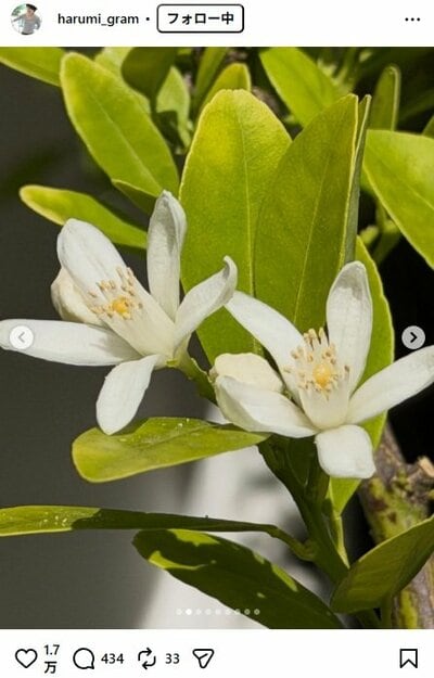 栗原はるみのInstagram投稿