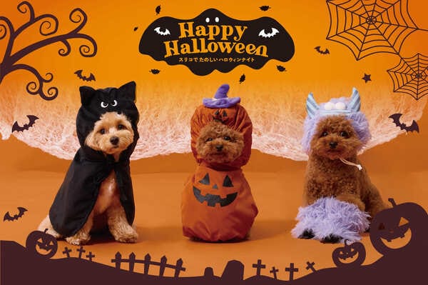 映え写真がたまらない！「ペットハロウィン」