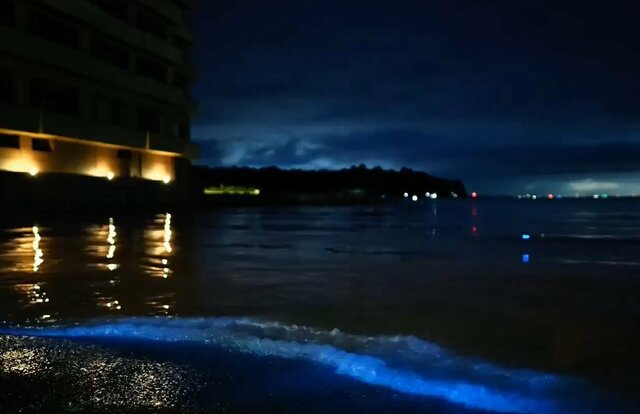 静岡県沼津市で夜の海を撮影してみると…浮かび上がる青い光に「めっちゃキレイ」「ずっと眺めていたい」