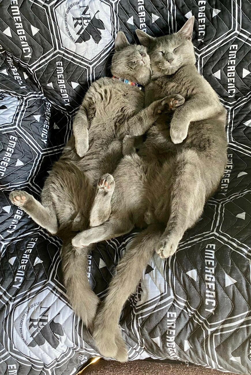 出所：@luna7taka9