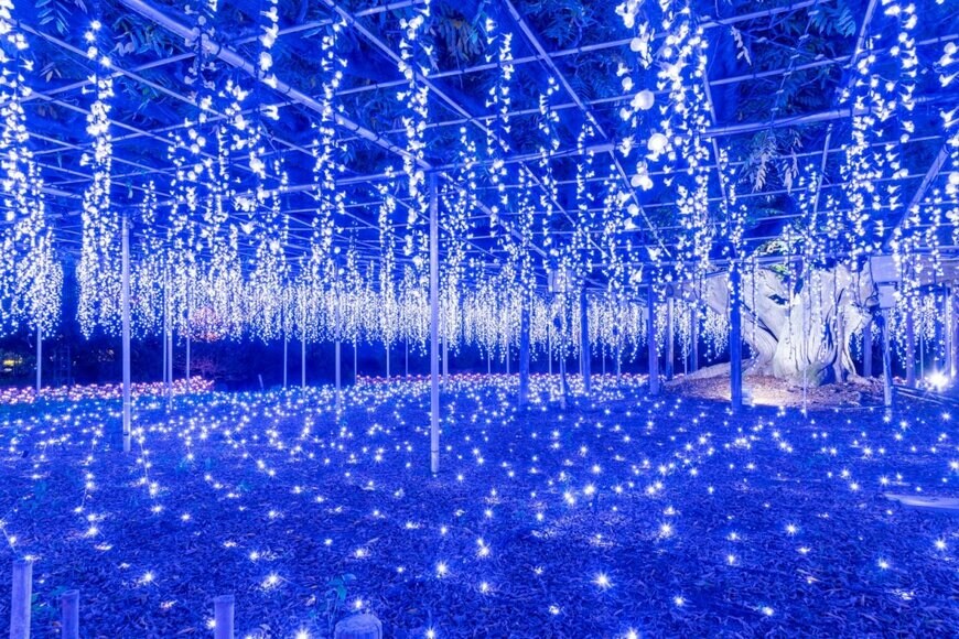 Kokodesho/shutterstock.com