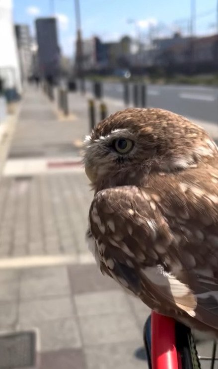 出所：@cr8673.hiro