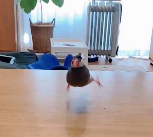 出所：@nebllse0121