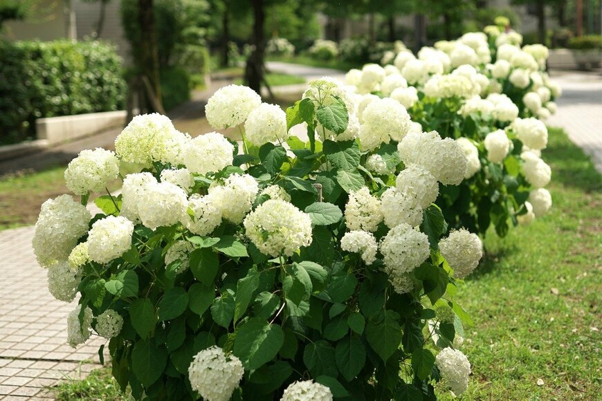 TokioMarineLife/istockphoto.com