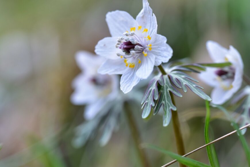 tosamanoi/shutterstock.com