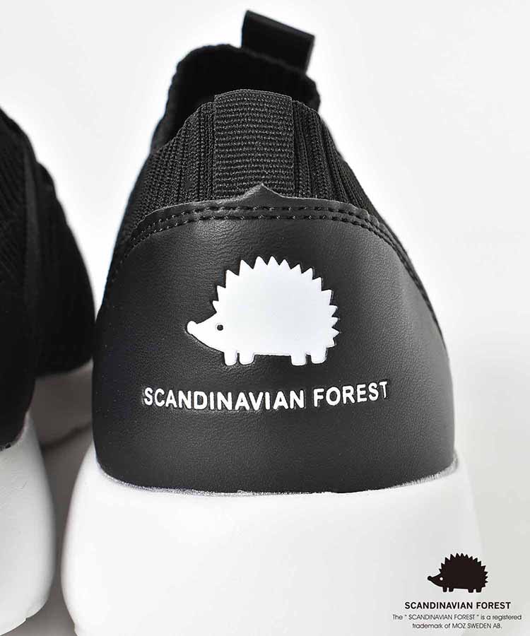 出所：Bleu Bleuet（ブルーブルーエ）公式サイト