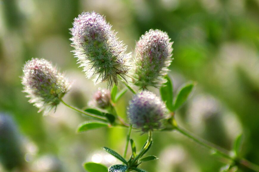 Volodymyr Nikitenko/Shutterstock.com