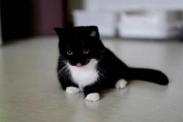 出所：@unicouniuni3