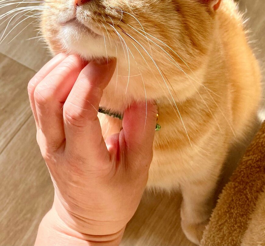 出所：@luna7taka9