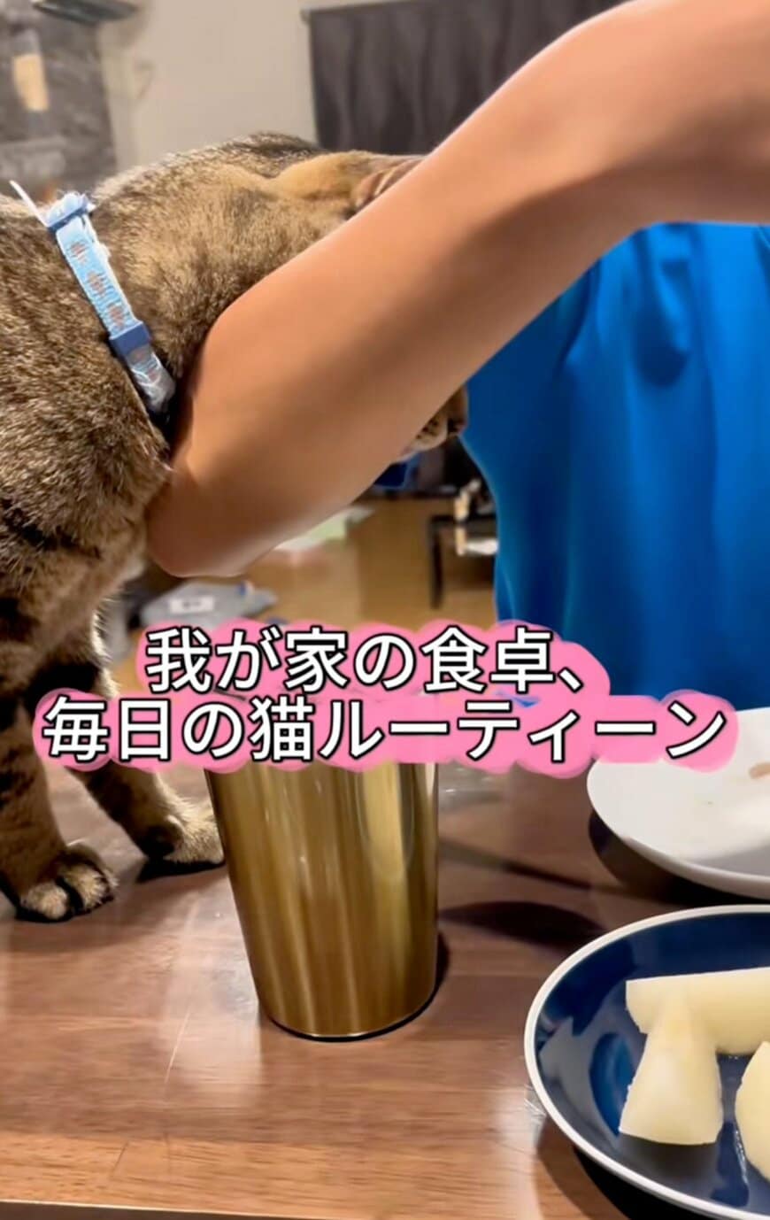 出所：@sorakai0905