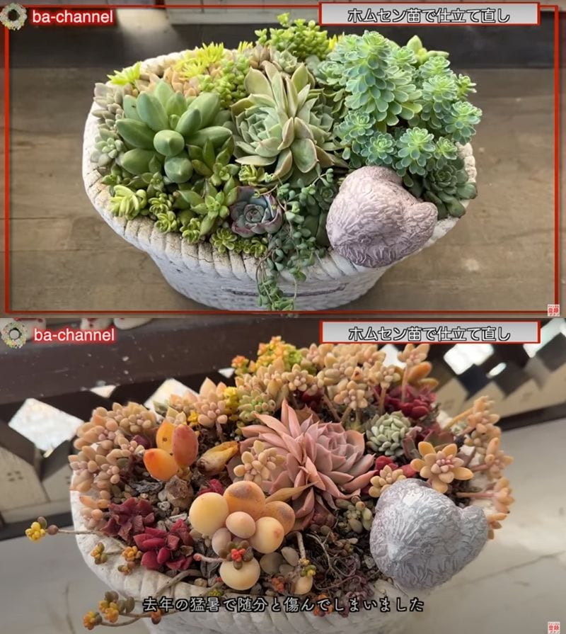 出所：@ba-channel