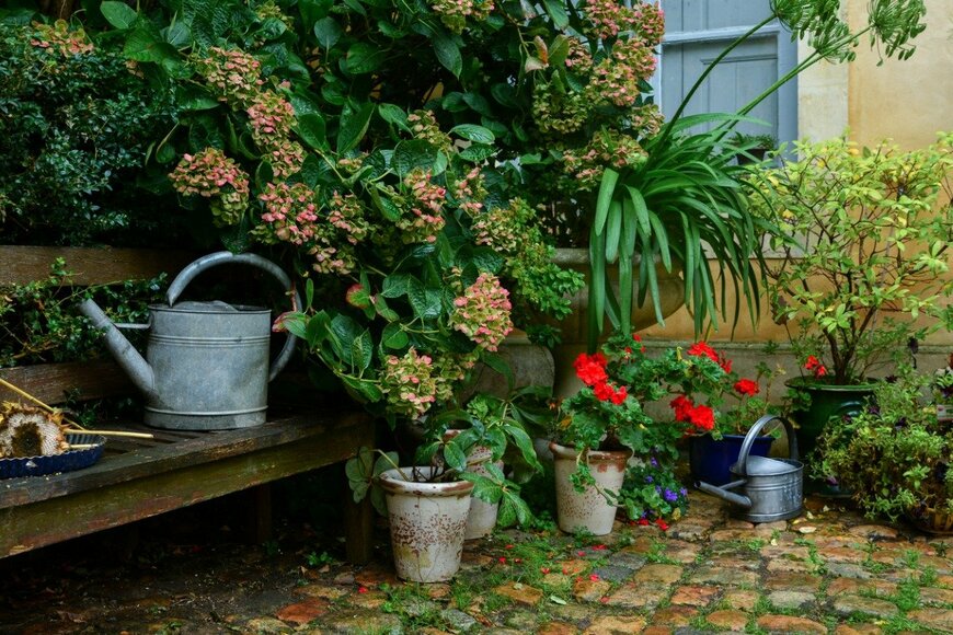 【梅雨のガーデニング】長雨が続いても安心！草花のトラブルを防ぐ〈お手入れ＆管理のコツ〉