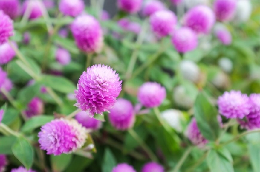 LFO62/istockphoto.com