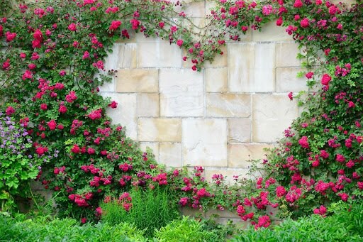 zawan763/shutterstock.com