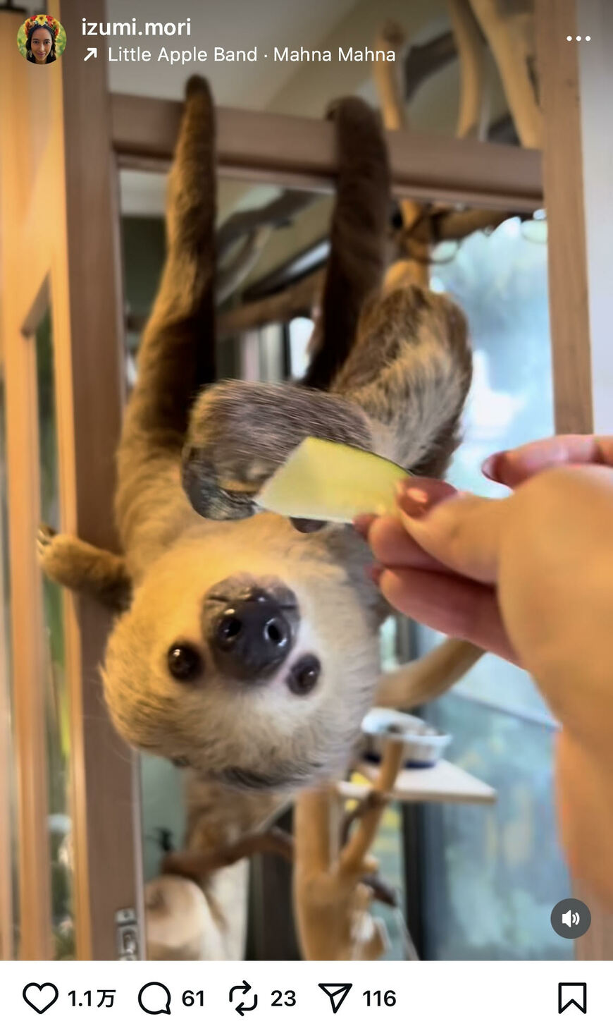 出所：森泉のInstagram（@izumi.mori）参照日：2025年11月6日