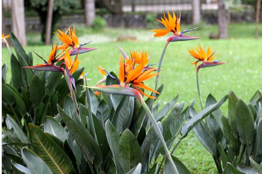 Arlette Lopez/istockphoto.com