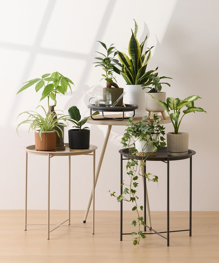 出所：パルグループ公式ファッション通販サイト　ラインポット3号