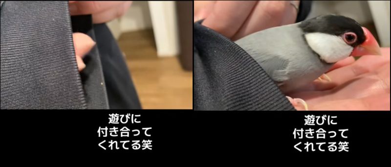 出所：@buntyo_suehiro